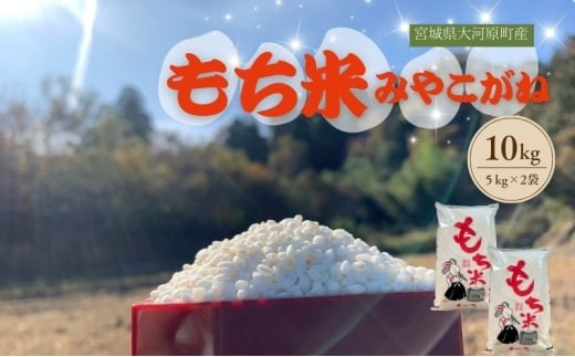 令和7年産 宮城県大河原町産 みやこがね 10kg ( 5kg × 2袋 ) もち米 米 餅米 令和7年 宮城県産
