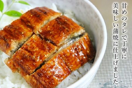 062-3-03-1 【ふるなびWEEK対象】天然地下水育ち!鹿児島県産うなぎ蒲焼2尾