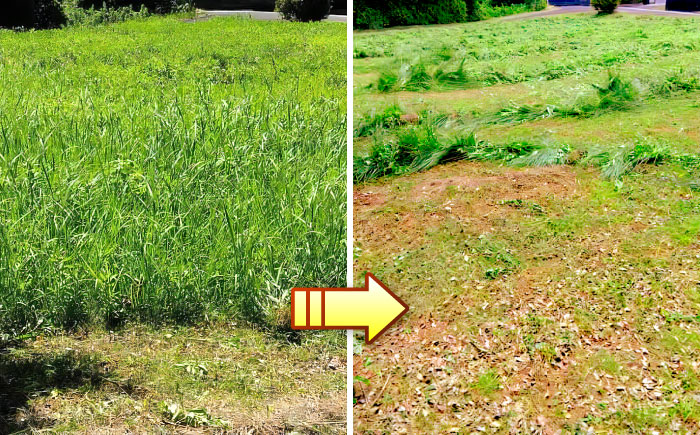 草刈り・墓地清掃・遺品整理等の代行チケット5,000円分《壱岐市》【便利屋とこしえ】 [JGX001]