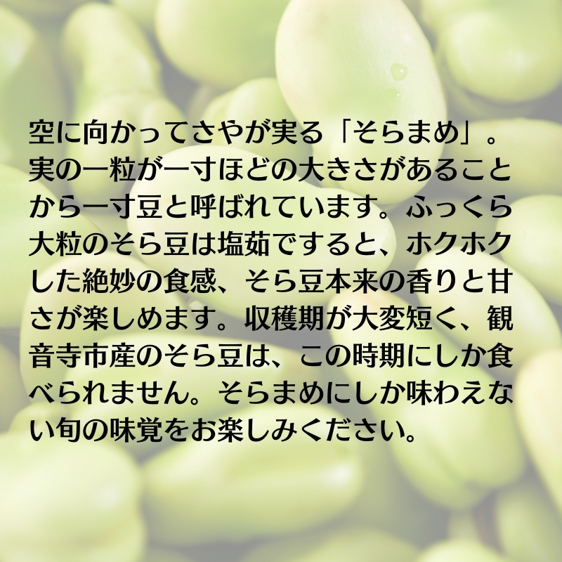 そら豆 約2kg