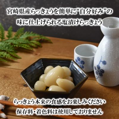 ふるさと納税 三股町 純国産 塩漬け・手作りらっきょうセット(400g×3袋・計1.2kg) 【MI321】 |  | 01