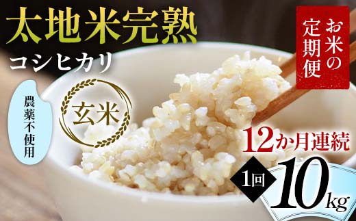 
            お米の定期便 農薬不使用米 太地米完熟 【こしひかり】 玄米10kg×12か月連続 ブランド米 お米 人気 F7X-0427
          