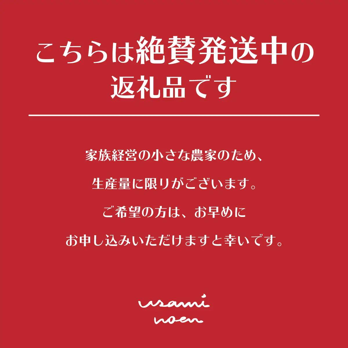 【2026年7〜10月限定発送】極旨トマトクール便 北海道壮瞥町産 ラビットゴッホ2kg 中玉トマト SBTAJ003