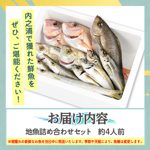【A09002】地魚詰め合わせセット(約4人分) 鹿児島 国産 九州産 産直 産地直送 鮮魚 新鮮 魚 海産物 お刺身 煮つけ 焼き魚【マルケイ水産】