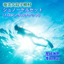 【ふるさと納税】屋鈍の海で シュノーケル（1日レンタルチケット・季節限定）奄美大島 宇検村 鹿児島県 旅行 体験 奄美ブルー