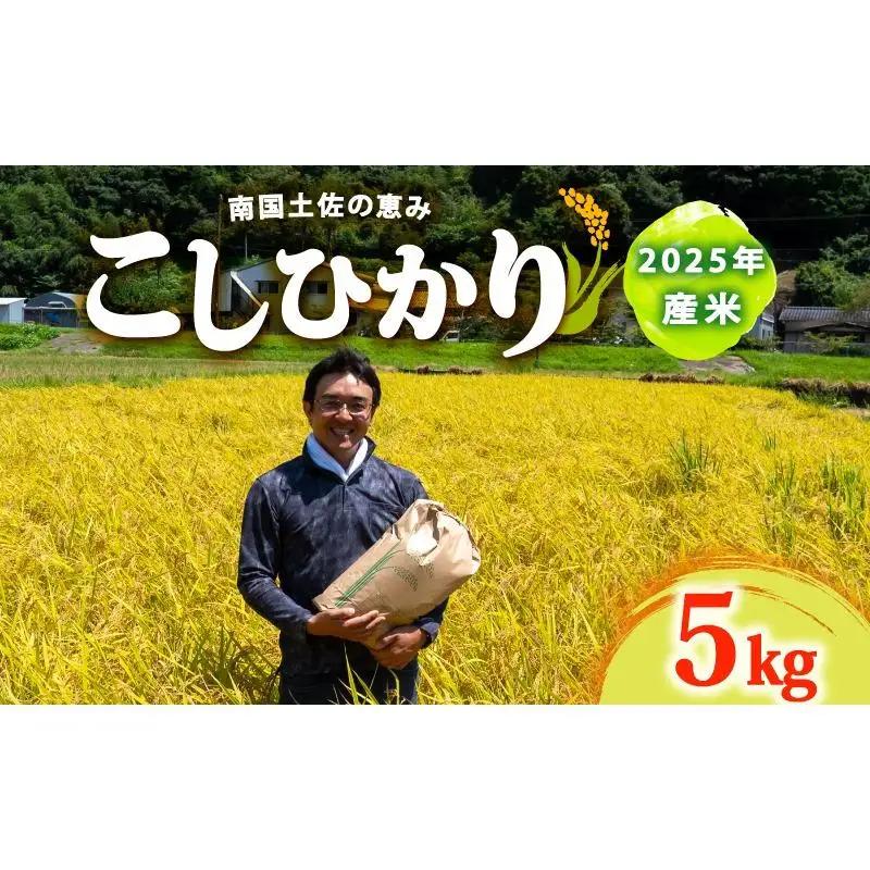 コシヒカリ5Kgコシヒカリコシヒカリコシヒカリ