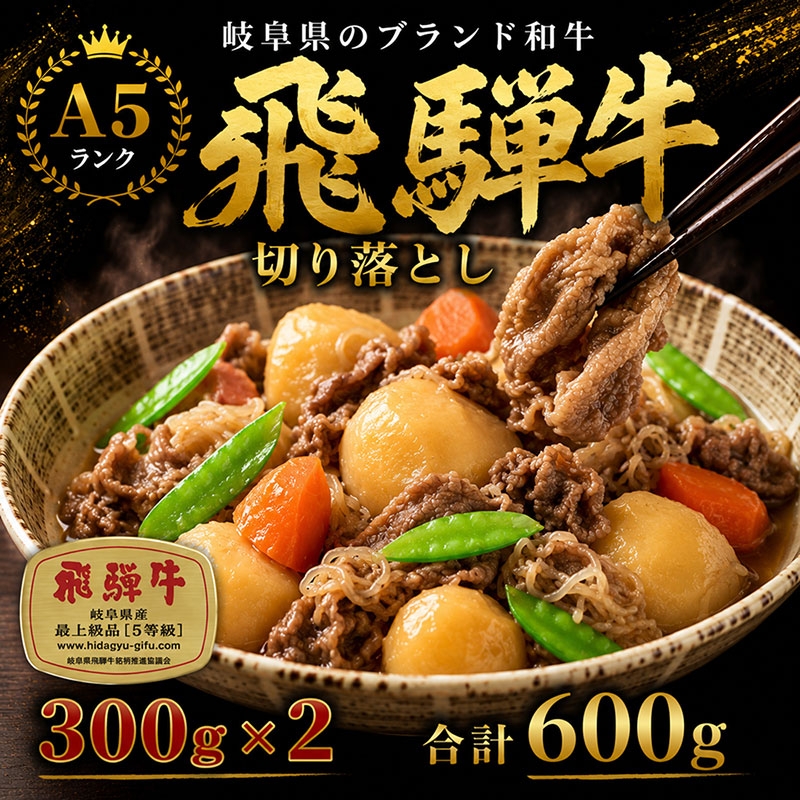 
飛騨牛切り落とし　600ｇ(300g×2) [№5644-1442]

