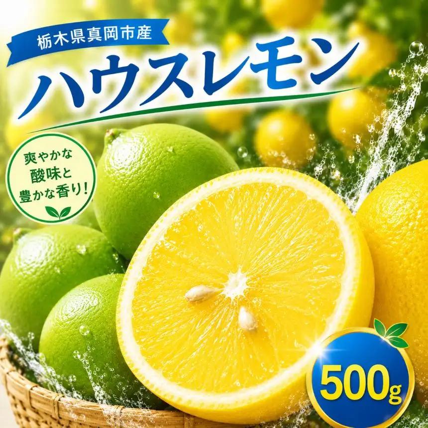 【先行予約】国産 レモン 500g 真岡市産 ハウスレモン