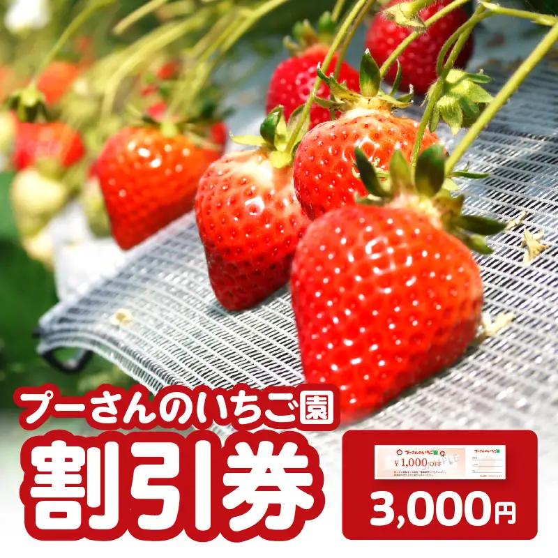 プーさんのいちご園　割引券（3,000円分） 【レターパック】 イチゴ狩り あまおう 恋みのり 紅ほっぺ さがほのか かおり野 おいCベリー あまえくぼ よつぼし 高設栽培 多段式 バリアフリー 車椅子 子供 品種 完熟 摘みたて 新鮮 家族 清潔 福岡県 八女市 090-005