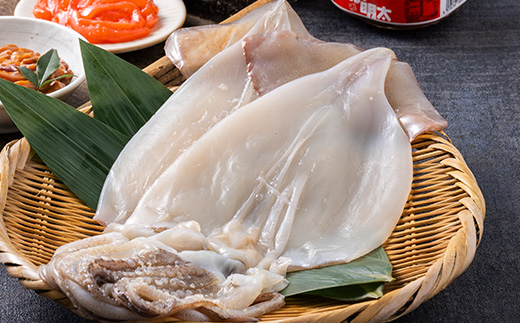 【塩辛 220g×4個・明太子和え 150g×2個・一夜干し 2袋】いか尽くし 3種セット【配送不可地域：離島】