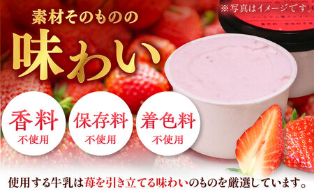 【先行予約】苺好きが夢中！THE ICHIGO  苺感たっぷりプレミアム苺アイスクリーム  計8個 / いちご イチゴ アイス デザート / 佐賀県 / さかもとさんの畑［41ABAA018］ストロベ