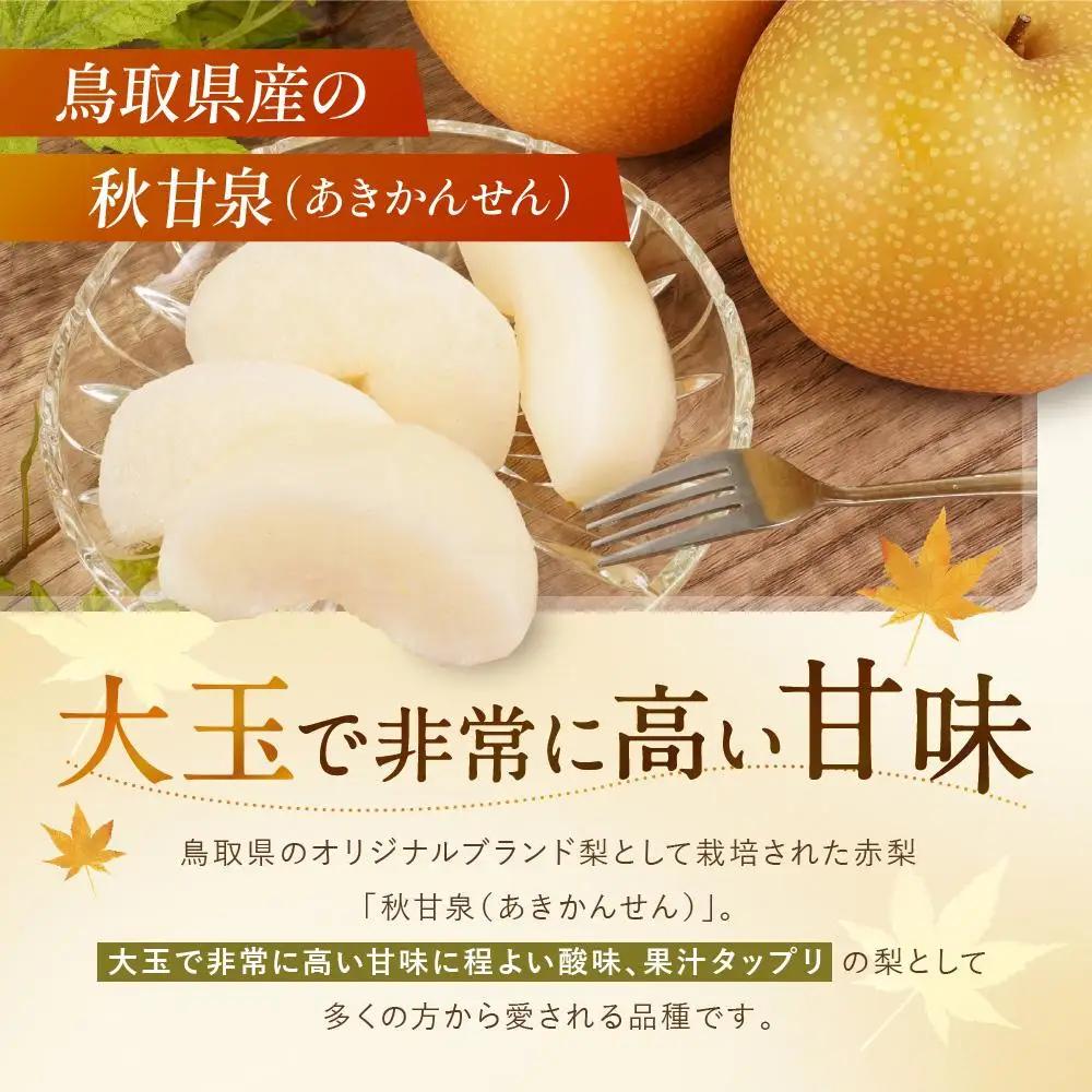 秋甘泉 5kg 8～12玉 数量限定 鳥取県産 梨 梨