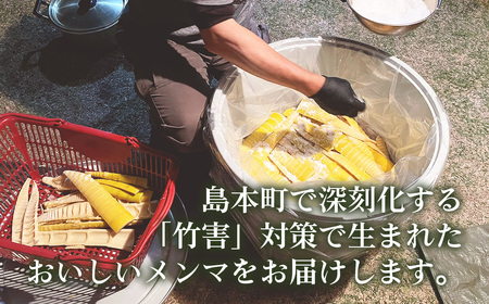 純国産島本メンマ（ごま油香るピリ辛中華味 うす味）500g ／ めんま たけのこ 筍 おつまみ 惣菜 国産 幼竹 ピリ辛 ご飯のお供 お取り寄せ グルメ ご当地 名物 特産 大阪府 No.189