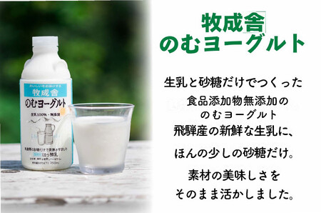 【全10回定期便】毎月お楽しみ10か月企画（ピザ・牛乳・チーズ・ヨーグルト）｜乳製品 詰合せ デザート 惣菜 乳飲料 牧成舎 DF234