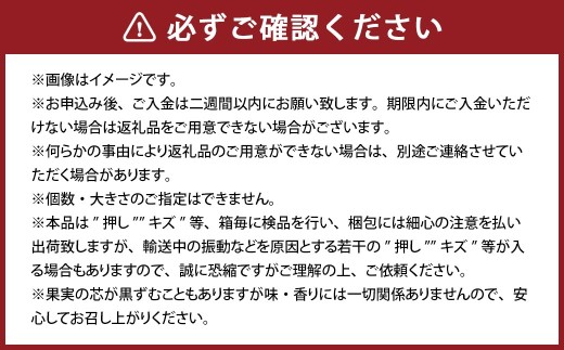 鴨梨（ヤーリー）6～12玉 合計約4.5kg