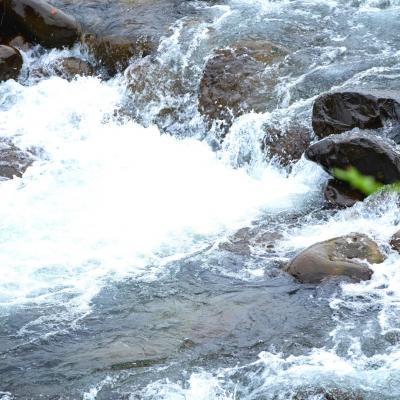 ふるさと納税 三条市 八木ヶ鼻舞い オーガニックなコシヒカリ 精米 5kg 令和7年産【019S019】 |  | 03