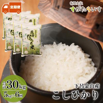 ふるさと納税 下呂市 令和7年産米【定期便】こしひかり 5kg×6回 すがたらいす 下呂市 米【51-Y】