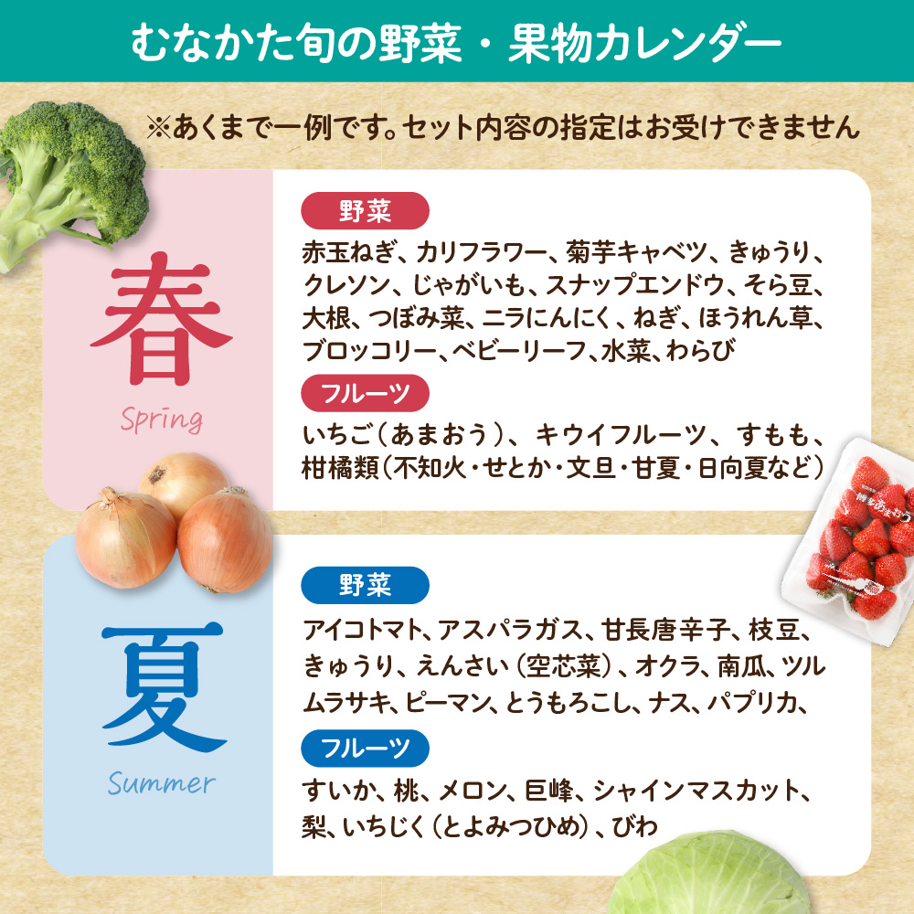 【定期便／年12回／毎月お届け】むなかた旬のお任せセット(野菜・フルーツ・お米／9～11品)【ほたるの里】_HB0029