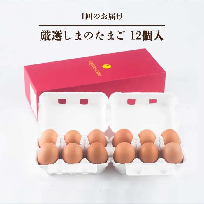 【 卵　定期便12回 】極上恋たまご 卵12個 [JAA006]