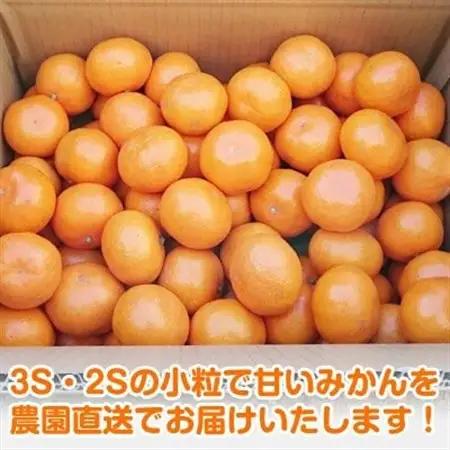 【2026年12月～2027年1月発送】濃厚完熟 木成り温州みかん 小粒スイート 5kg 和歌山県産【配送不可地域：離島】【1553369】