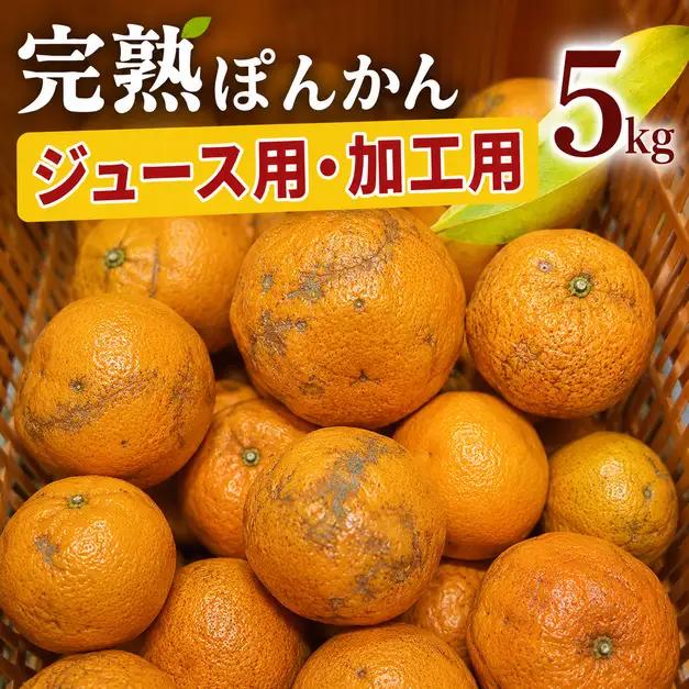 【先行予約】ジュース用訳ありぽんかん ＜5kg＞