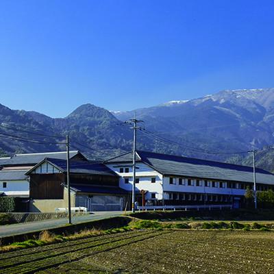 ふるさと納税 小城市 【のし付き】七田純米焼酎&麦焼酎セット |  | 03