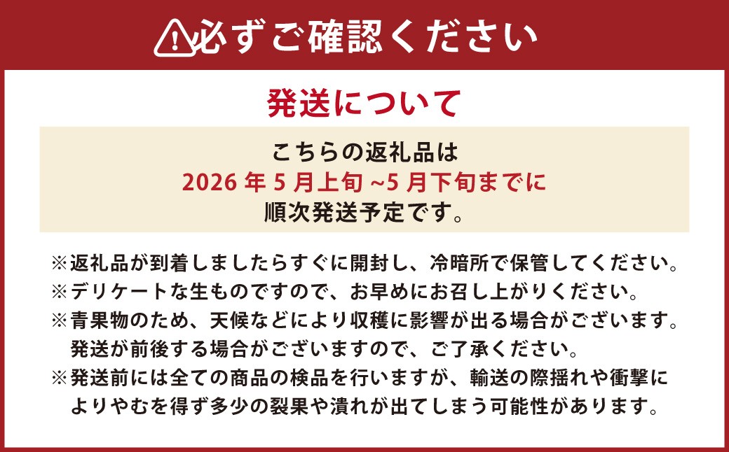 熊本県産 アールスメロン 1玉