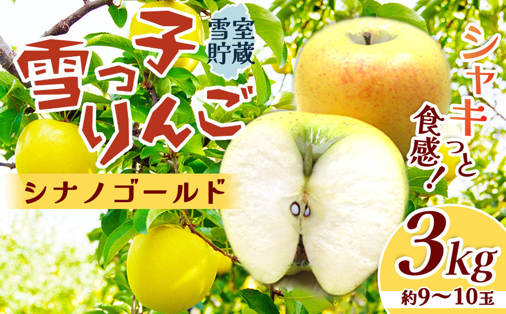 
            【2025年 4月発送 予約受付 】 雪っ子 りんご 熟成 シナノゴールド 3kg 数量限定 リンゴ 林檎 果物 フルーツ 果実 贈答 おすそ分け シェア 雪室貯蔵 雪っ子りんご 東北 岩手 土産 展勝地 桜の名所 岩手県 D0479 ※3月より寄附額変更となりました
          