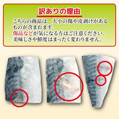 ふるさと納税 銚子市 【訳あり】霜降り塩さば切身 約3.5kg |  | 02