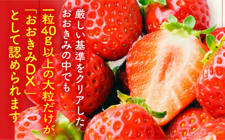 《2025年発送先行予約》【数量・期間限定】宮崎県産いちご「おおきみDX」1パック（9粒） 大粒 甘い パイオニア