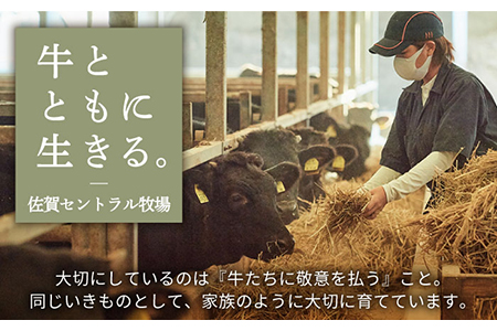 【牧場直送】人気返礼品セット！牛肉100%ふんわりロールステーキ 4個＆佐賀県産和牛 切り落とし  1000g(250g×4パック)【有限会社佐賀セントラル牧場】[IAH132]