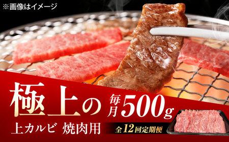 【12回定期便】佐賀牛 上カルビ 焼肉用 500g /MKミート武雄[UEM052]