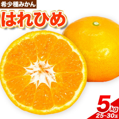 【ふるさと納税】【先行予約】みかん はれひめ 約 5kg 25玉 〜 30玉 紀農人株式会社【先行予約】《2025年12月中旬-2026年2月上旬頃出荷》 和歌山県 紀の川市 果物 フルーツ 柑橘 蜜柑 柑橘類 旬