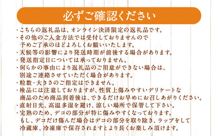 先行予約 不知火 約3kgセット ／ 季節限定 柑橘 かんきつ しらぬい フルーツ 果物 長崎県 長崎市 野中果樹園 オンライン決済限定 アフター保証 【2026年3月上旬-下旬迄発送予定】