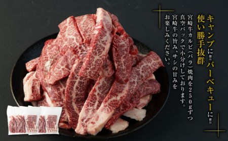 ＜宮崎牛カルビ（バラ）焼肉1kg＞ 翌月末迄に順次出荷【c978_tf_x1】