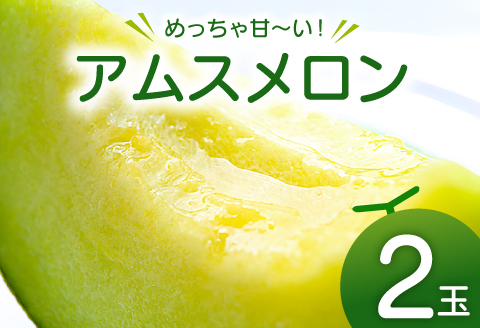 A-997 【先行予約】めっちゃ甘いアムスメロン2玉【メロン めろん アムス 先行予約 早期予約 季節限定 期間限定 果物 フルーツ お土産 プレゼント 贈り物 ご褒美 贅沢】