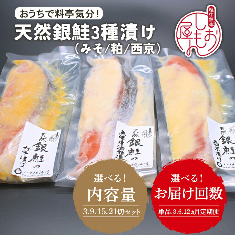 【ふるさと納税】【選べる内容量・配送回数】【セット】干物屋の天然銀鮭3種ずつセット（西京漬け、味噌漬け、粕漬け） ※北海道・沖縄・離島への配送不可
