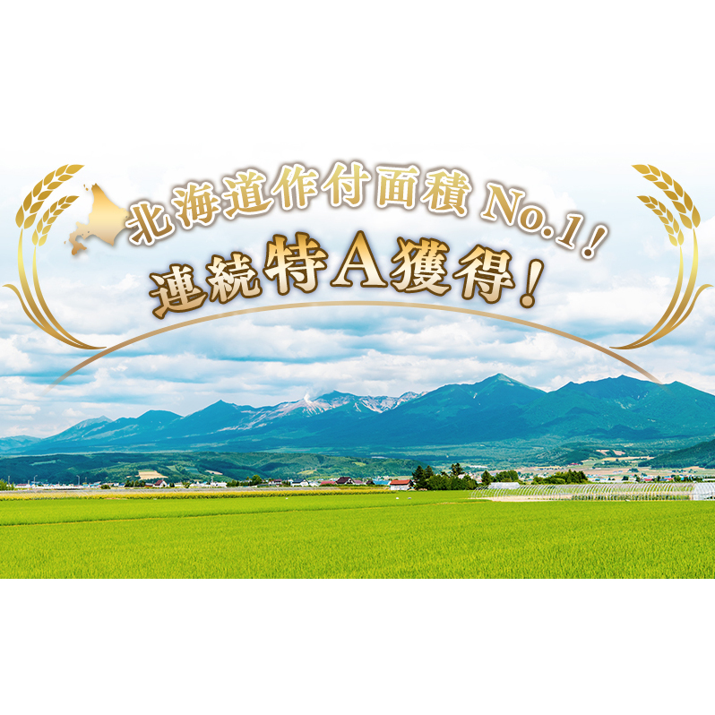 ≪3ヶ月定期便≫北海道上富良野町産【ななつぼし】10kg_イメージ2