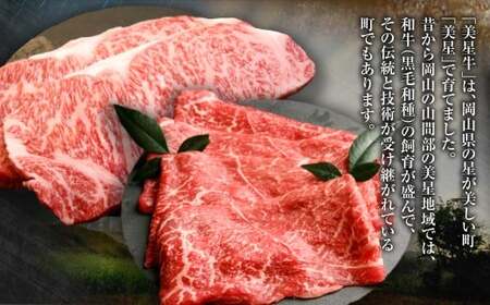 黒毛和牛 お試し定期便 2回発送 サーロインステーキ 約400g しゃぶしゃぶ すき焼き 用 約400g 合計 約800g A4等級 以上 牛脂付き サーロイン 美星牛 美星牧場 岡山