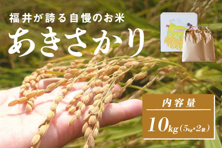 【数量限定！10袋限定販売！！】令和7年産  あきさかり　通常便（1回配送）計10kg（5kg×2袋）