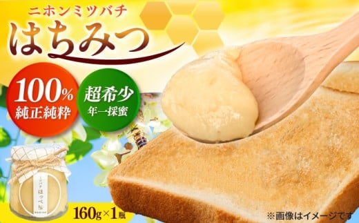二ホンミツバチのはちみつ 160g 日田市 / ミツバチホッペ [ARAT001]