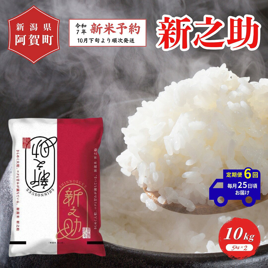 【ふるさと納税】 《先行予約》＜定期便6回＞ 米 10kg 新潟県産 「津川産 新之助」 令和7年産 5kg × 2袋 | 白米 精米 しんのすけ 送料無料 お取り寄せ お米 ※2025年10月下旬頃より順次発送