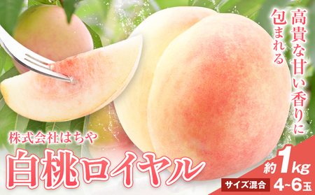 【先行予約】岡山白桃 等級 ロイヤル 約1kg《7月上旬‐8月下旬頃出荷》岡山県 浅口市 株式会社 はちや フルーツ モモ【配送不可地あり】