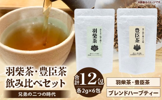 兄弟の二つの時代 ― 羽柴茶・豊臣茶 飲み比べセット