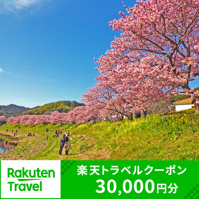 【ふるさと納税】静岡県南伊豆町の対象施設で使える楽天トラベルクーポン 寄付額30,000円