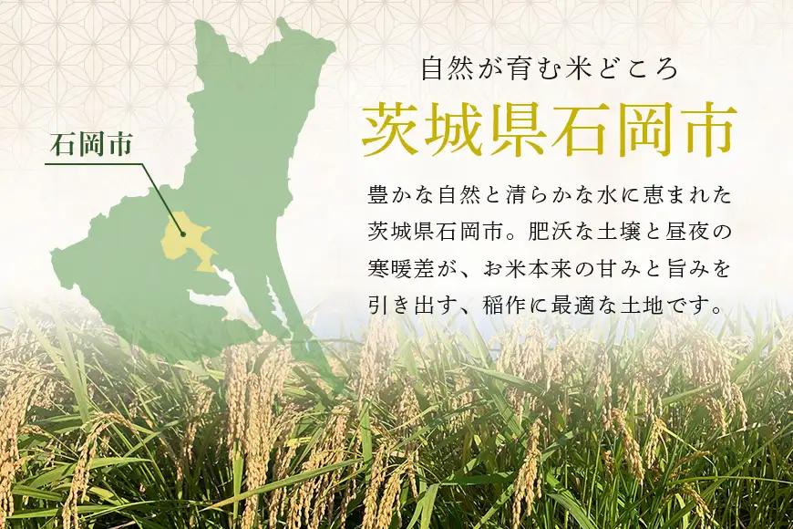 【令和8年産】獅子米　いのちの壱（玄米）30kg　B02-096