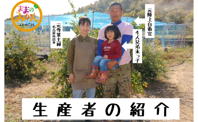 【数量限定　先行予約】訳あり甘平サイズ不揃い約3キロ家庭用　１月上旬頃～順次発送〈産地直送　愛媛県　甘い　みかん　フルーツ〉