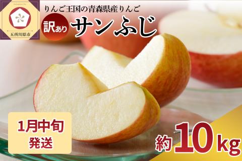 【2026年1月中旬発送】【訳あり】りんご約10kgサンふじ青森産