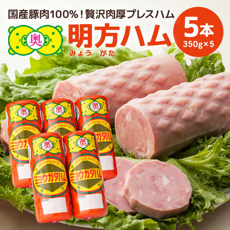【ふるさと納税】明方ハム 5本セット│ハム セット 国産 豚肉 肉 惣菜 おかず 弁当 おつまみ ステーキ 国産豚肉 100% 熟成 プレスハム 冷蔵 精肉 肉加工品 加工品 ギフト 贈答用 贈答品 お歳暮 お中元 岐阜県 川辺町 (B-25/L-5)
