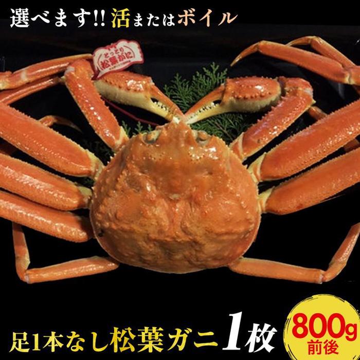 【ふるさと納税】667.【選べます！活またはボイル】足1本なし　訳あり　松葉ガニ　大1枚（800g前後）【着日指定不可】※2025年11月上旬～2026年3月下旬頃に順次発送予定《かに カニ 蟹》